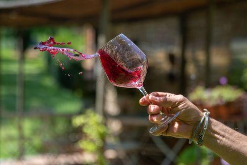 montepulciano wine