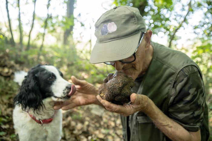 SAPIO Umbria truffle San Pietro al Pettine